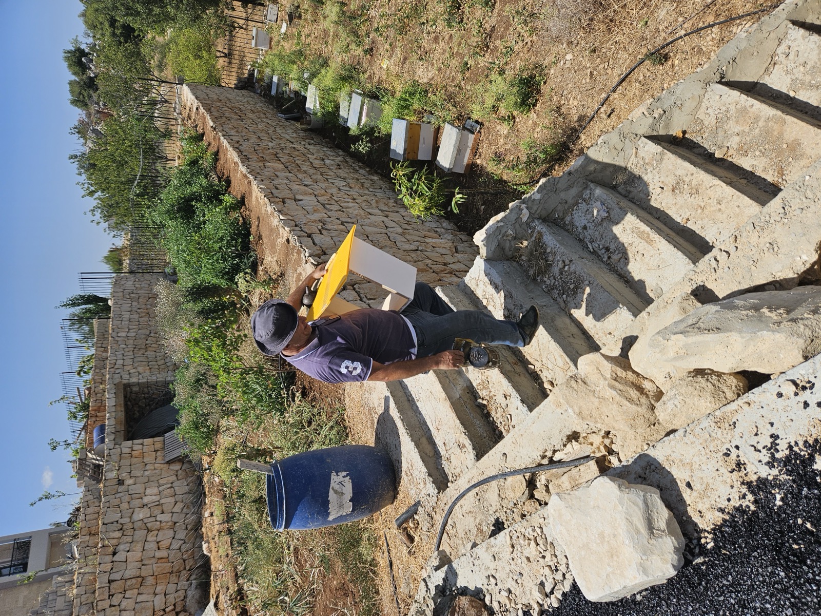 The Health Benefits of Raw Lebanese Honey