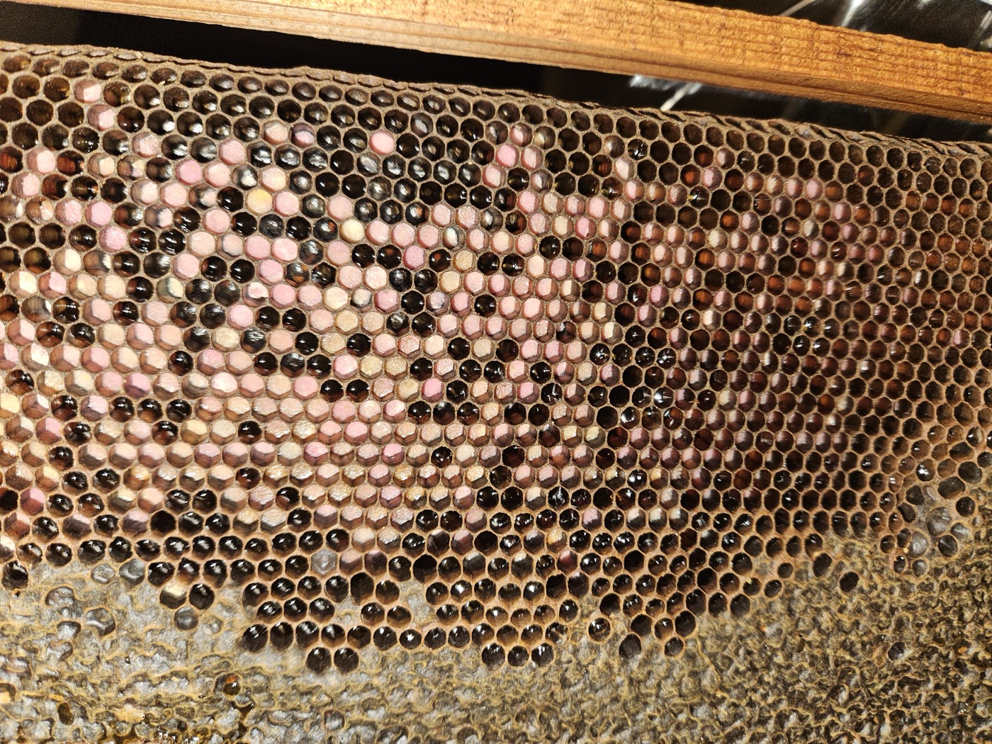 Beeswax Blocks & Candles